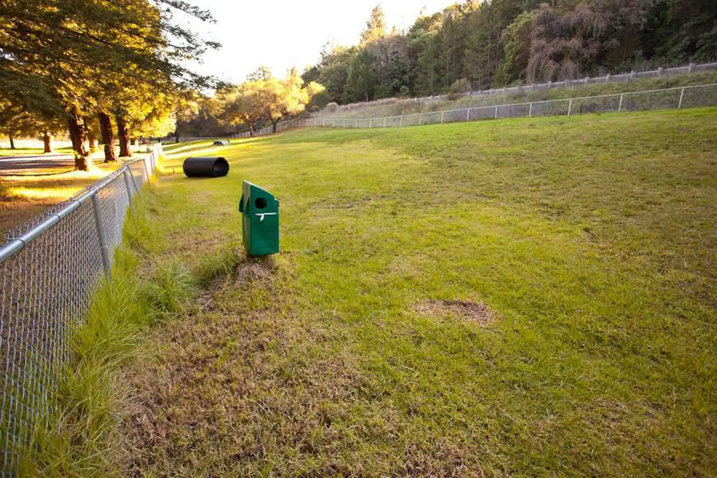 Warm Springs Rec Area — Huge Fenced Dog Park with agility eqipment