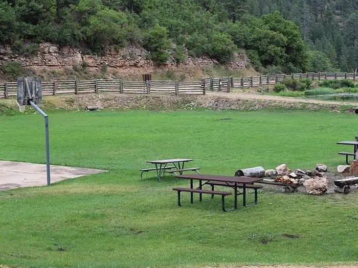 Big Springs Cabin Site — Open Space