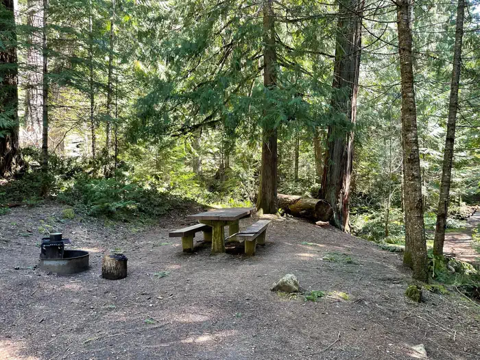 Indigo Springs Campground — A small campsite covered in shade by surrounding trees. The site has a wooden picnic table and metal fire ring.