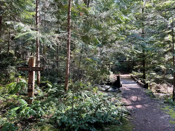 Indigo Springs Campground — A trail extends away into the distance over a small wooden bridge. A sign labels the trail as the Indigo Springs Loop.