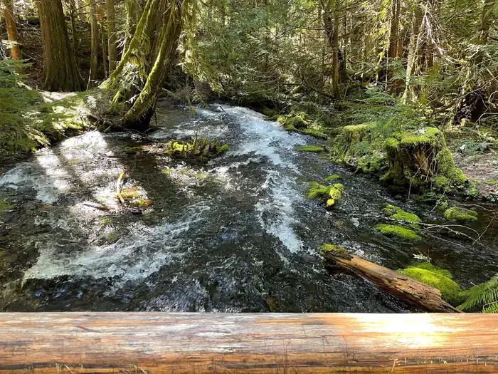 Indigo Springs Campground — A small and fast-moving stream flows under a wooden bridge and through dense underbrush.