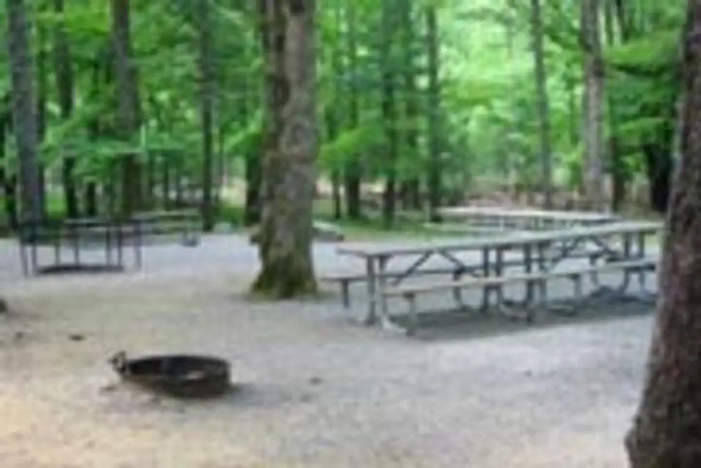 Cades Cove Group — CADES COVE GROUP