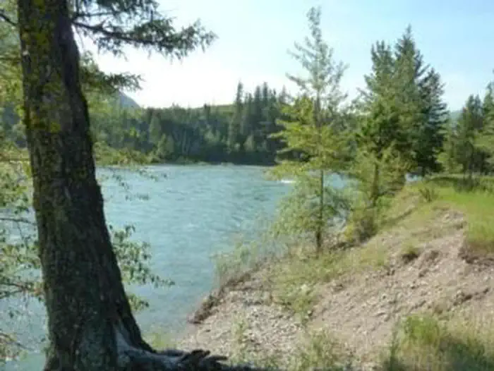Big Creek Campground (flathead National Forest, Mt) — BIG CREEK CAMPGROUND bank of Flathead River