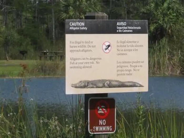 Midway Campground (fl) — Midway Campground (FL) lake
