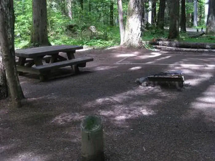 Paradise Creek Campground — Paradise Creek campground