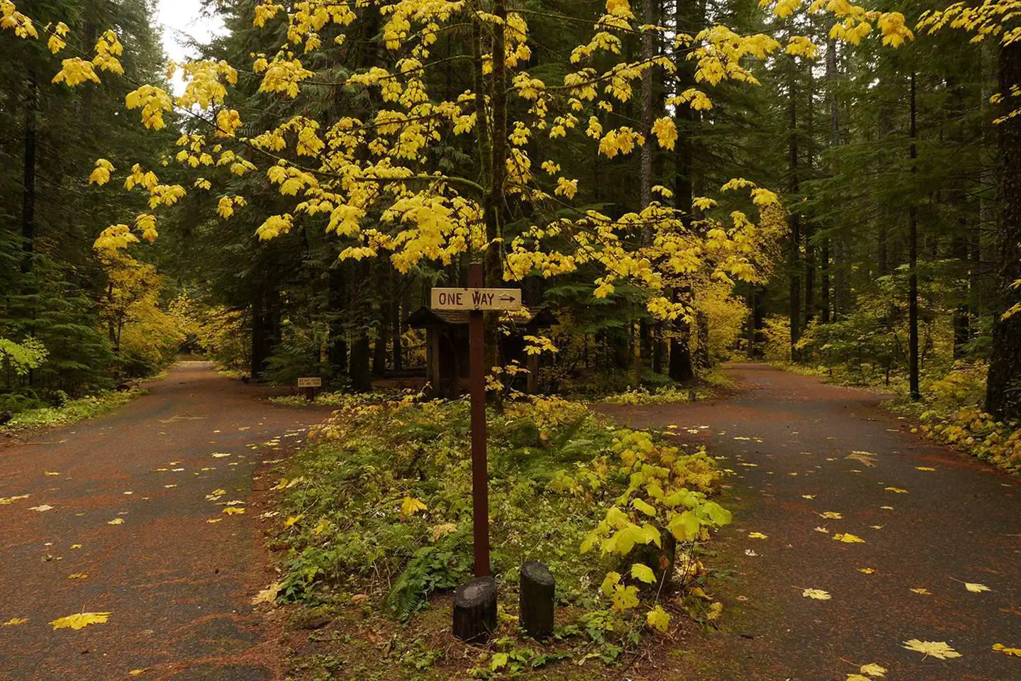 Paradise Creek Campground — Paradise Creek campground