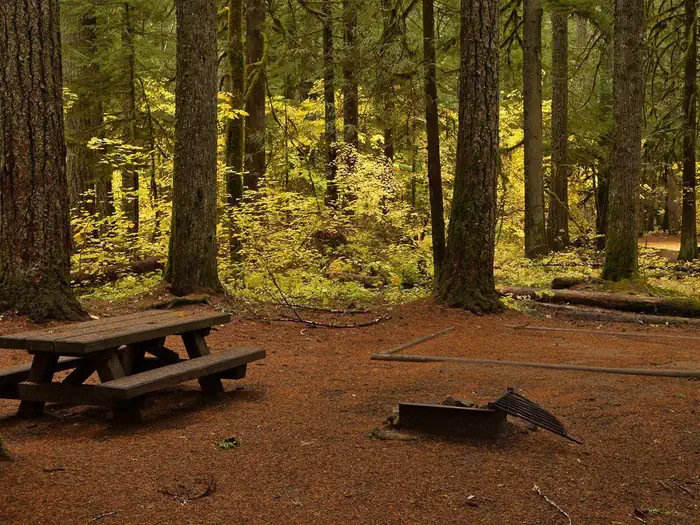 Paradise Creek Campground — Paradise Creek campsite