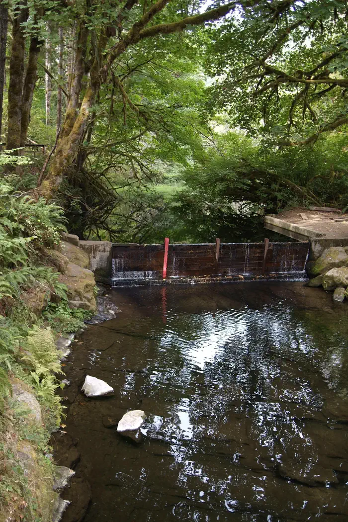 Whittaker Creek Recreation Site — Whittaker Creek Dam