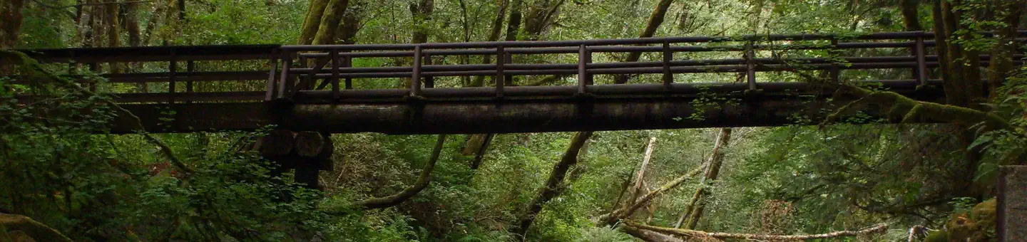 Whittaker Creek Recreation Site — Whittaker Creek bridge near the seasonal dam