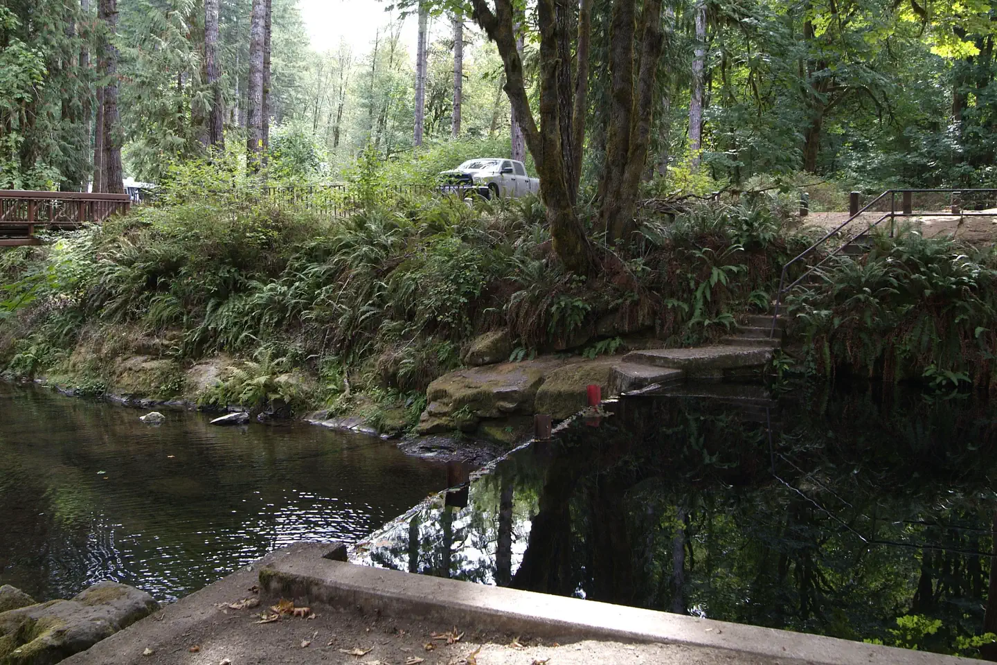 Whittaker Creek Recreation Site — View from Top of Whittaker Creek dam.