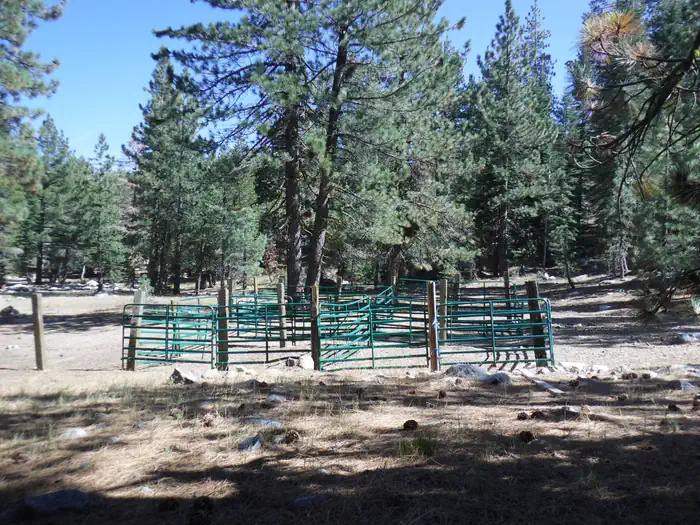 Packsaddle — Packsaddle Campground Corral