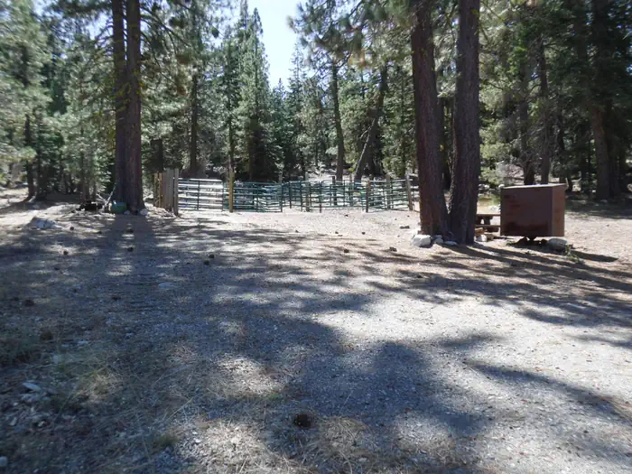 Packsaddle — Shared Corral