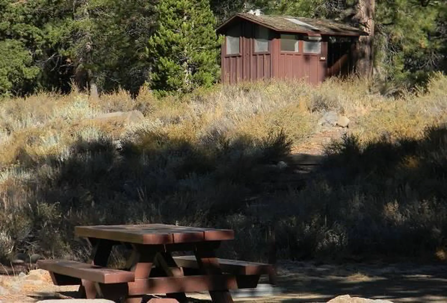 Lower Little Truckee — Picnic table in the shade within Lower Little Truckee Campground