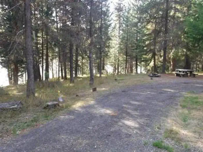 Bunker Hill Campground — Flat gravel driveway leading to campsite with picnic table and fire ring in pine forest.