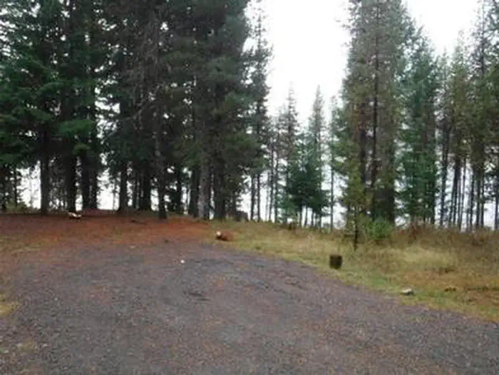 Bunker Hill Campground — BUNKER HILL CAMPGROUND