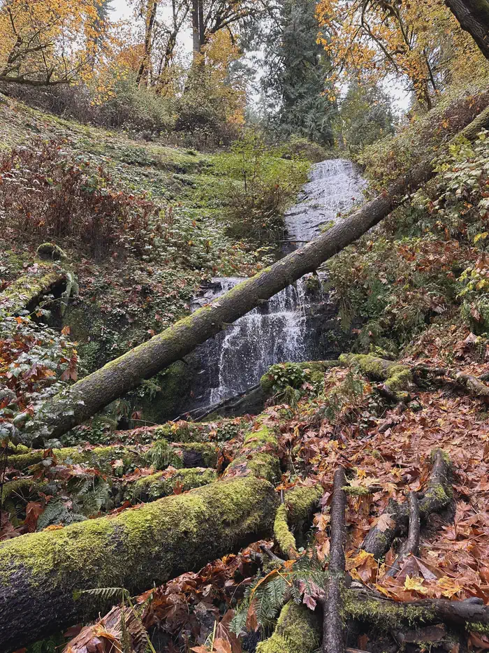 Loon Lake Recreation Site — Waterfall on Elliott State Forest land accessed from Loon Lake day use area.