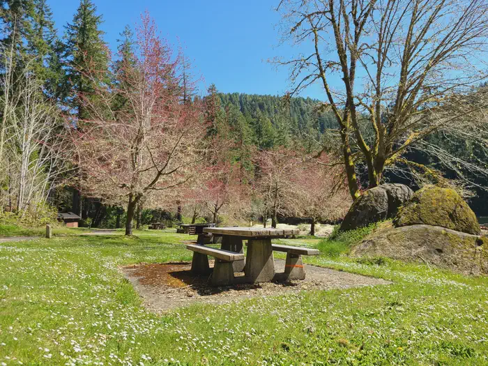 Loon Lake Recreation Site — Look Lake Day Use picnic table on a sunny, blue sky day.