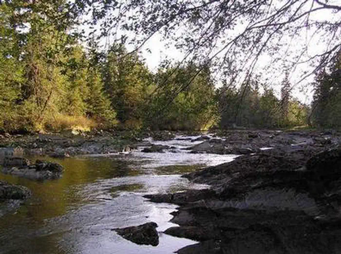Castle River Cabin — CASTLE RIVER CABIN6