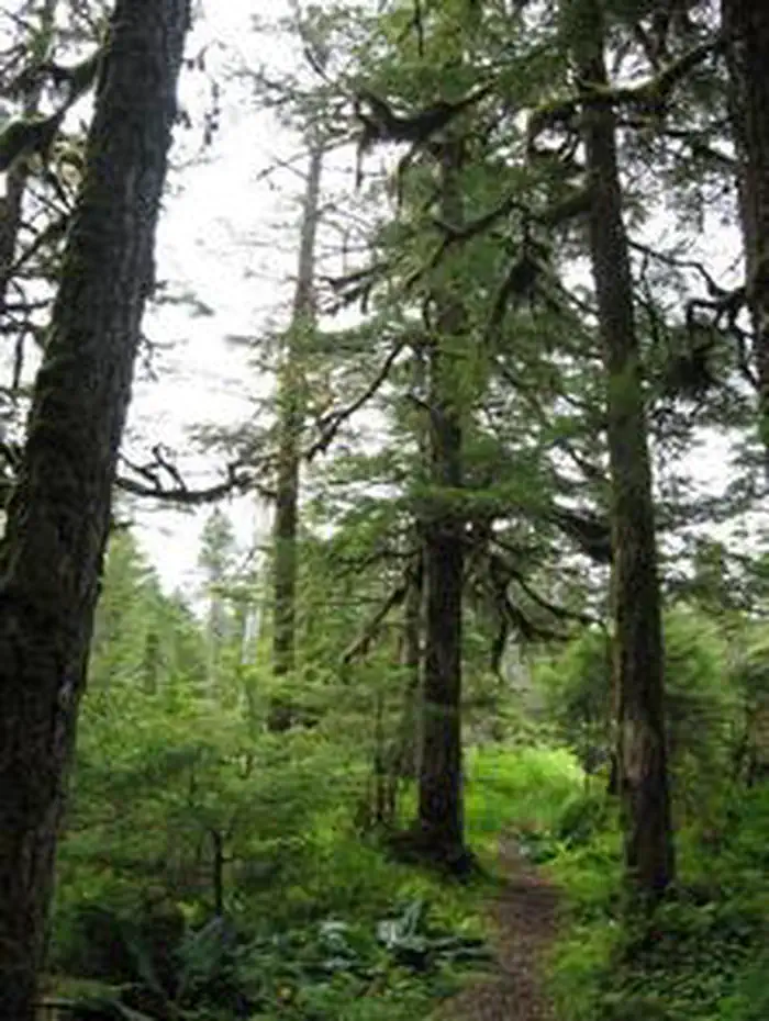 Castle River Cabin — CASTLE RIVER CABIN3