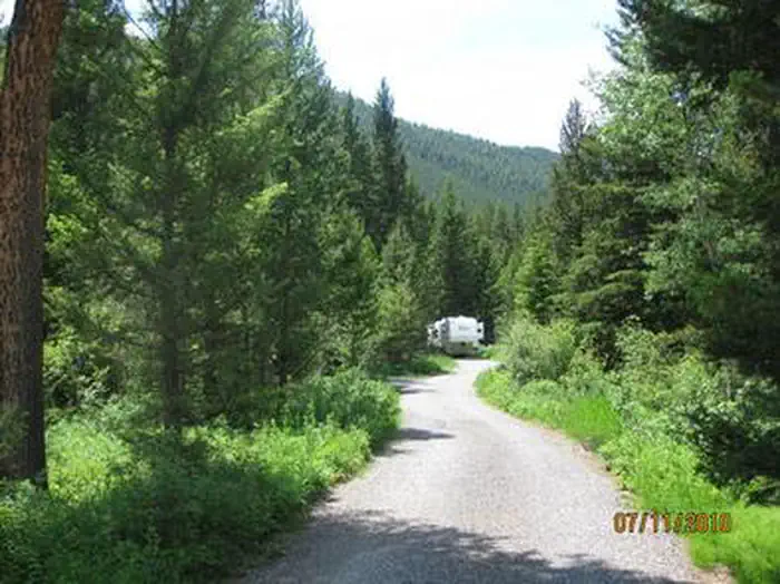 Swan Creek Campground — Swan Creek Campground - road, Pine trees & RV