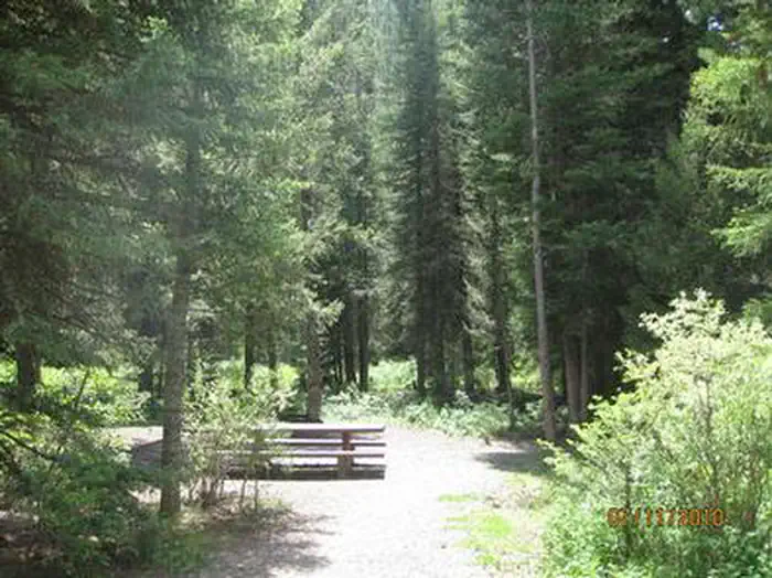 Swan Creek Campground — Campsite surrounded by pine trees, picnic table & fire ring