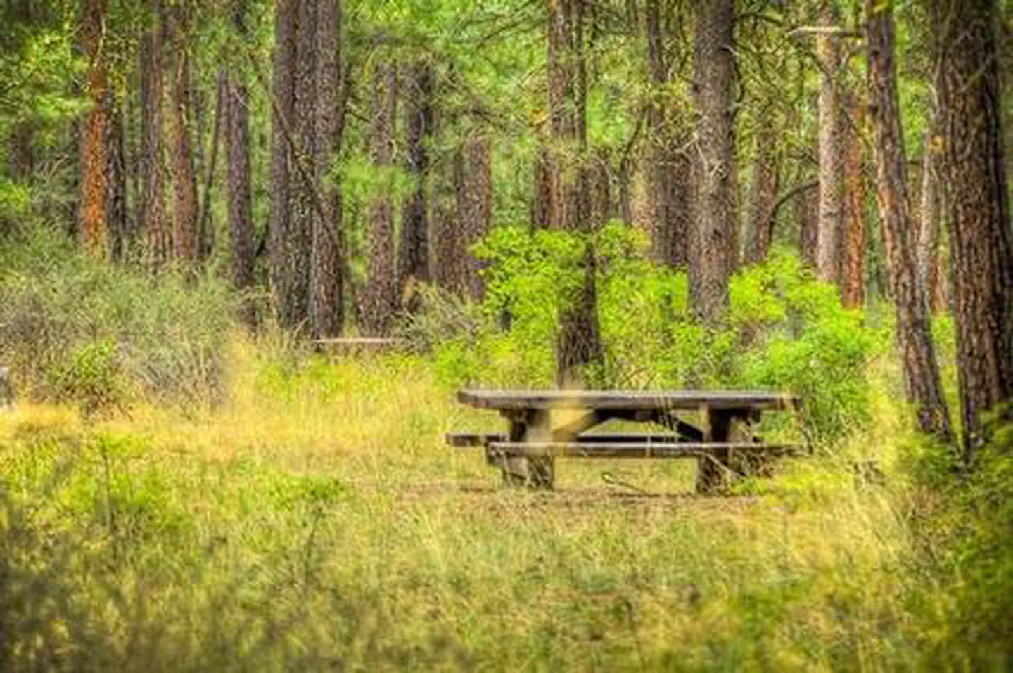 Indian Ford Campground — INDIAN FORD CAMPGROUND