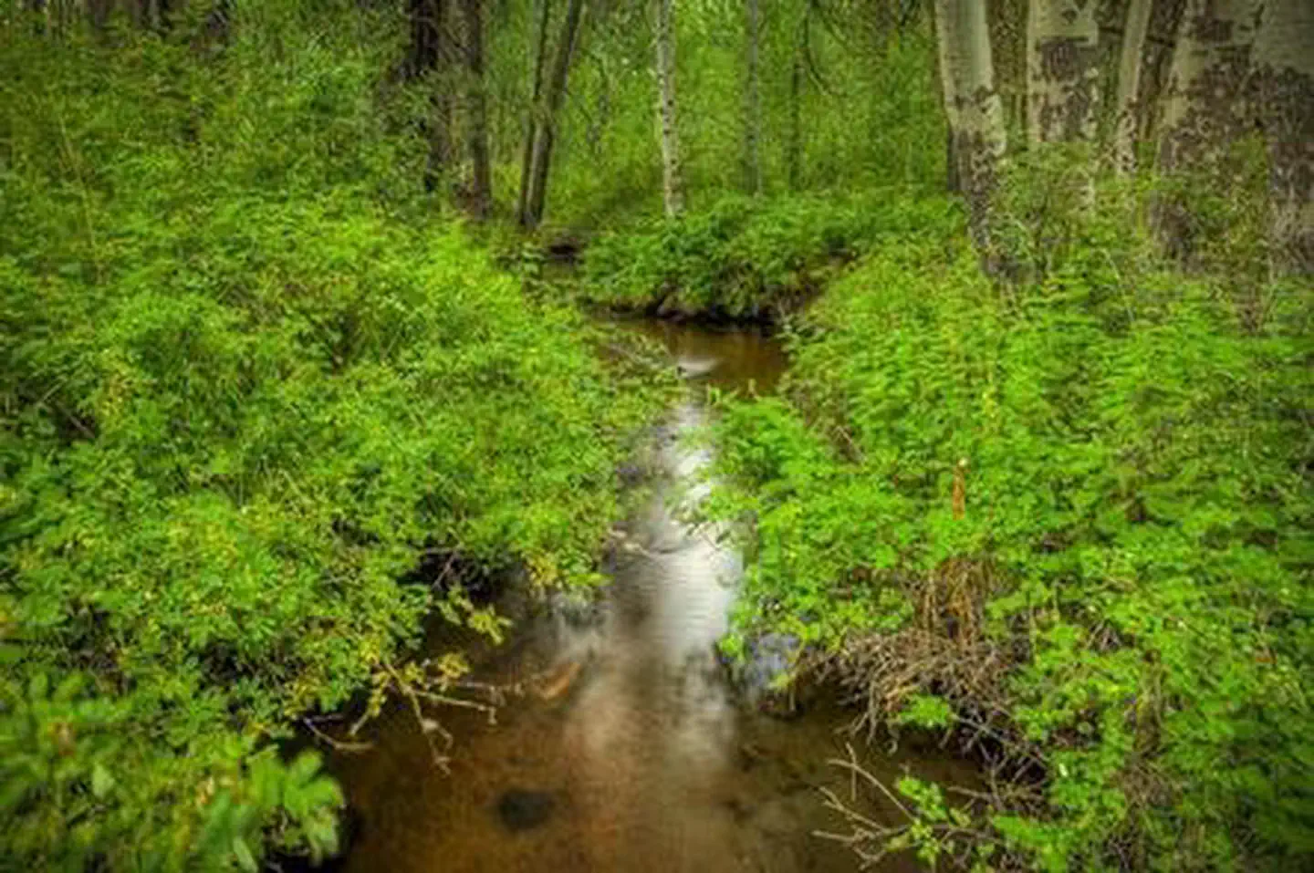 Indian Ford Campground — INDIAN FORD CAMPGROUND