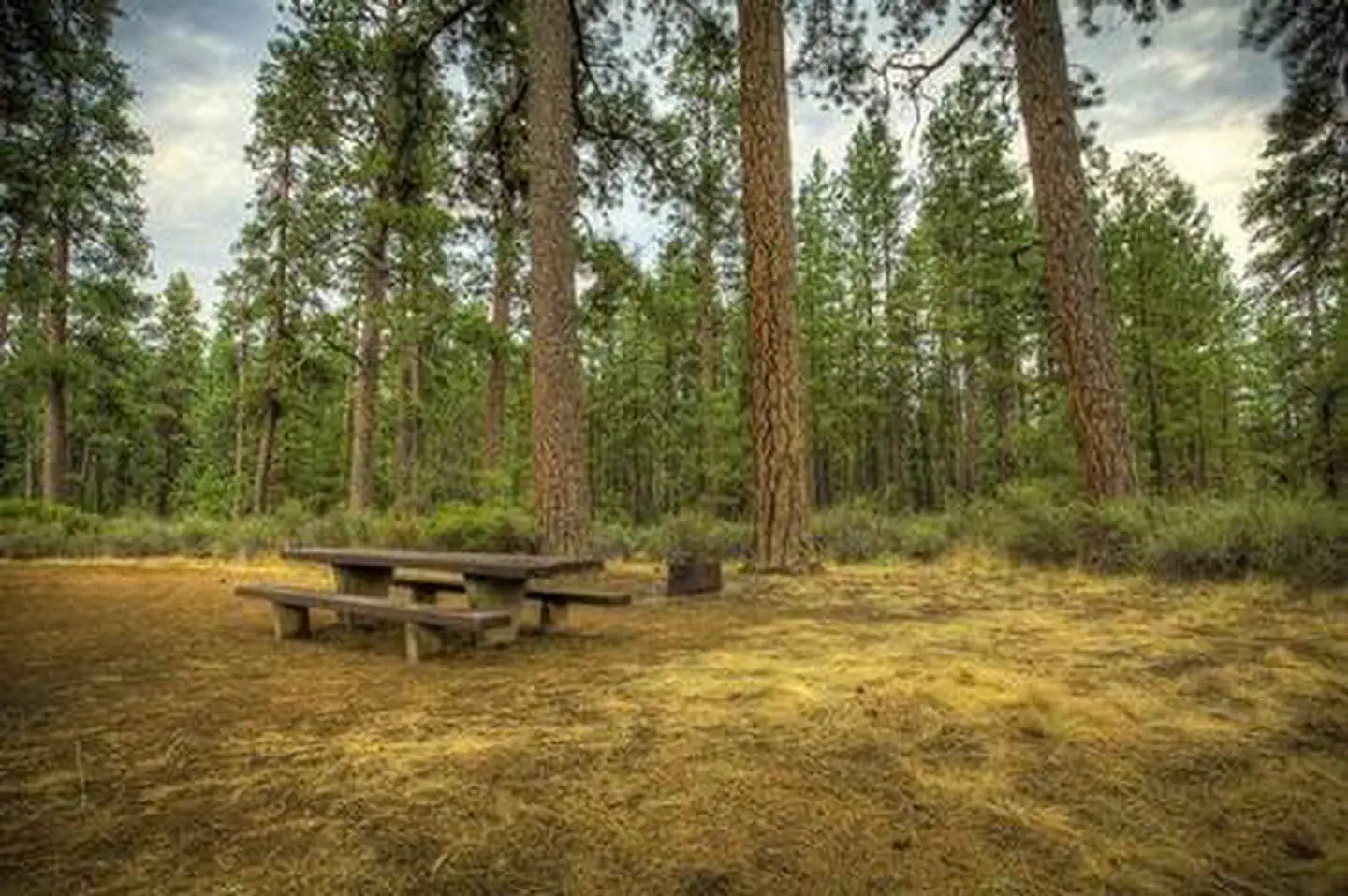 Indian Ford Campground — INDIAN FORD CAMPGROUND