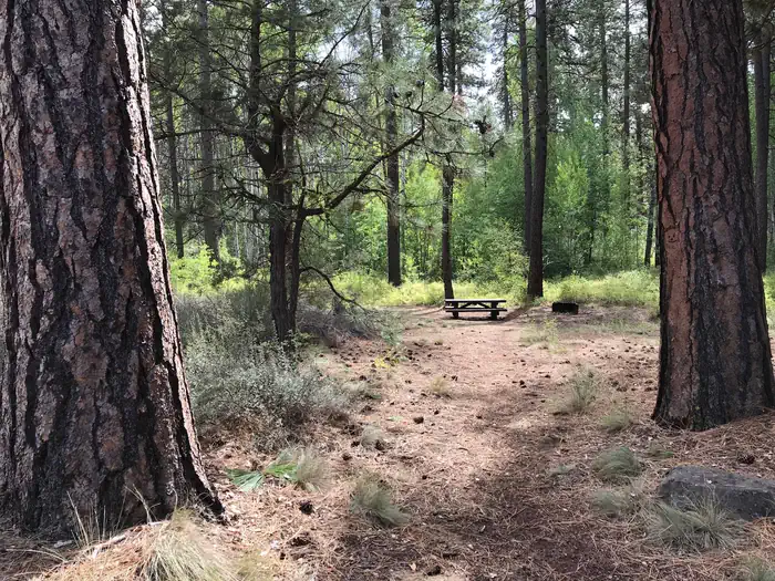 Indian Ford Campground — Indian Ford Campground