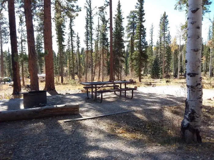 Demotte — Demotte Campsite with many trees