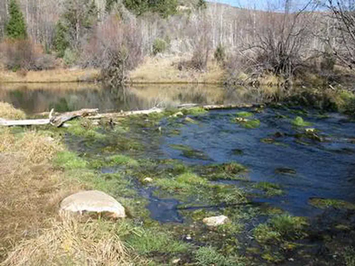 Davis Canyon Campground — DAVIS CANYON CAMPGROUND