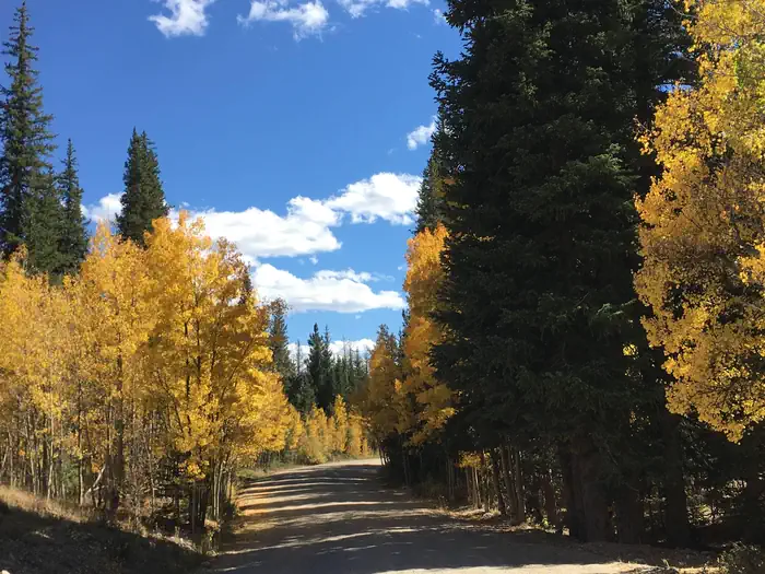 Aspen (co) — Aspen Campground