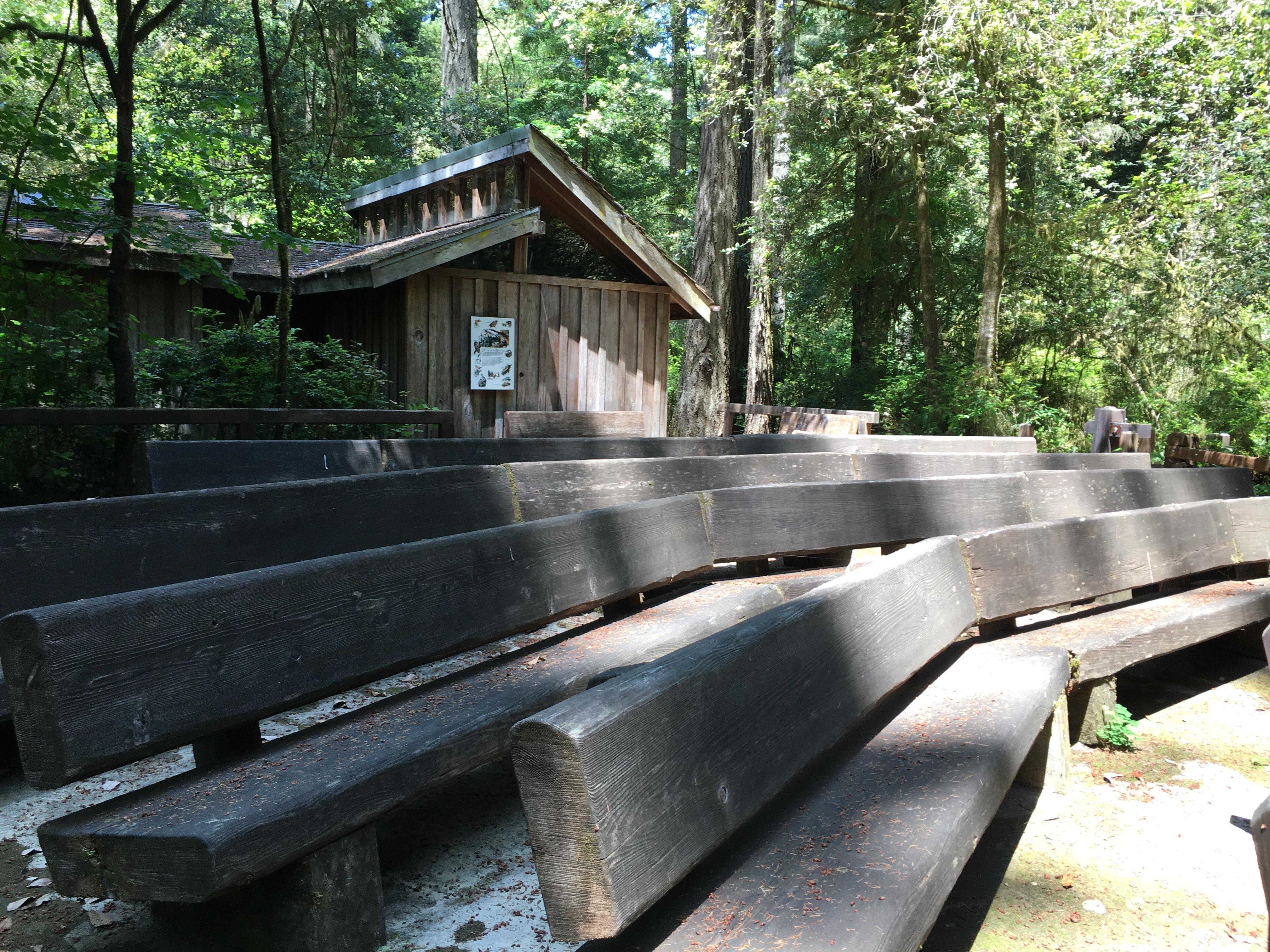 Jedediah Smith Campground — Jedediah Smith Visitor Center and amphitheater.