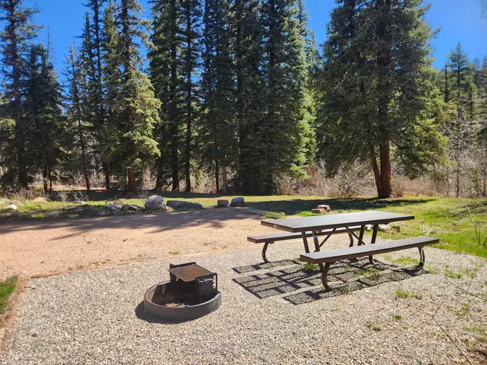 Florida Campground (CO) — Florida offers several first-come single camp sites, some double sites, and one reservation only group site