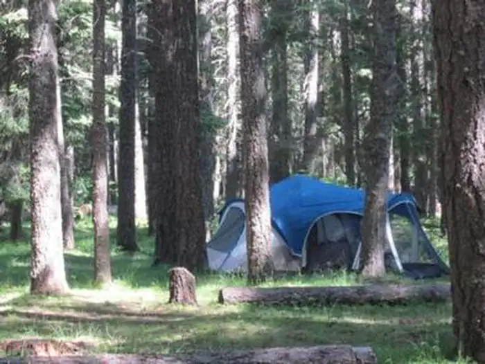 Indian Creek (wa) — Indian Creek (WA)