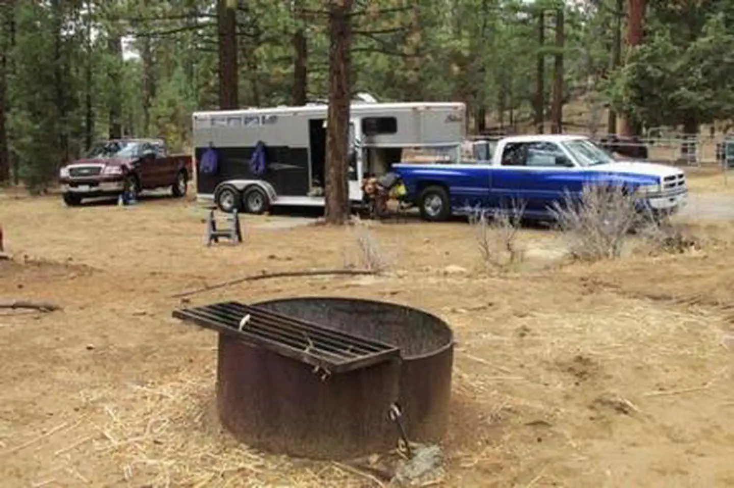 Wild Horse Equestrian Campground — WILD HORSE EQUESTRIAN FAMILY