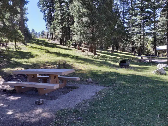 Slide Group Area β Shaded picnic area