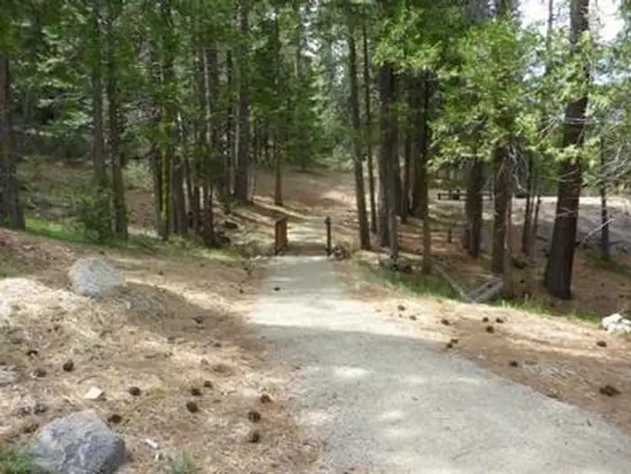 Dorabelle Campground — DORABELLE CAMPGROUND trail