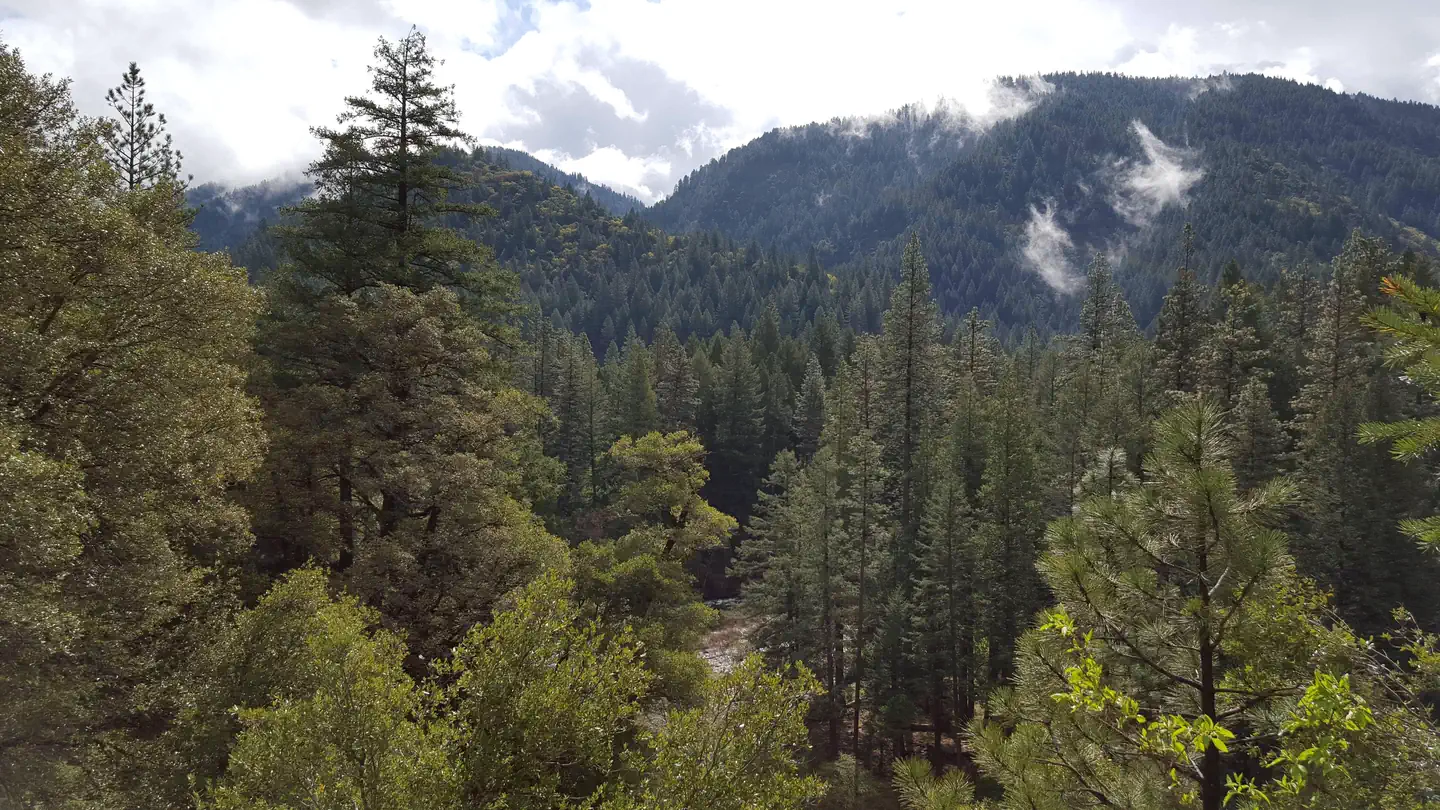 Union Flat — North Fork Yuba