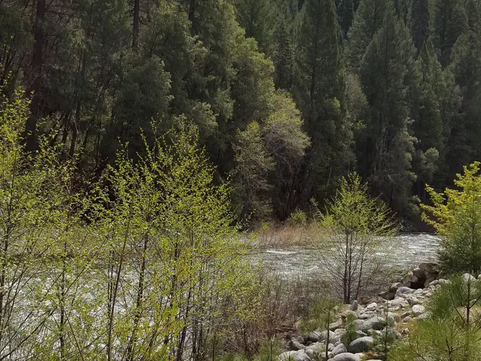 Union Flat — North Fork Yuba River