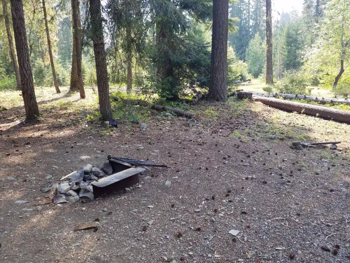 Cayuse Horse Camp — Campfire ring on flat ground covered with fir needles trees and a sunlit meadow in background.