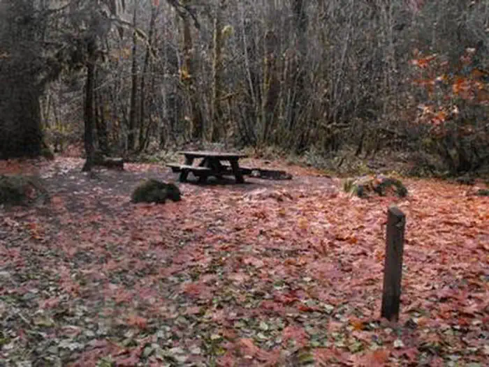 French Pete Campground — FRENCH PETE CAMPGROUND