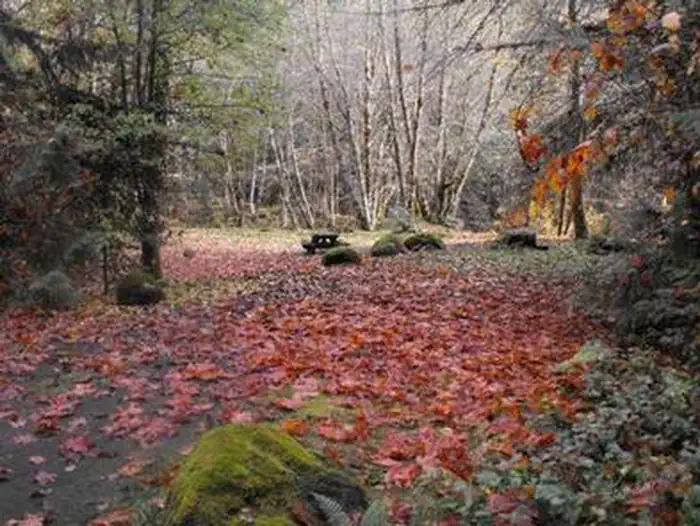 French Pete Campground — FRENCH PETE CAMPGROUND