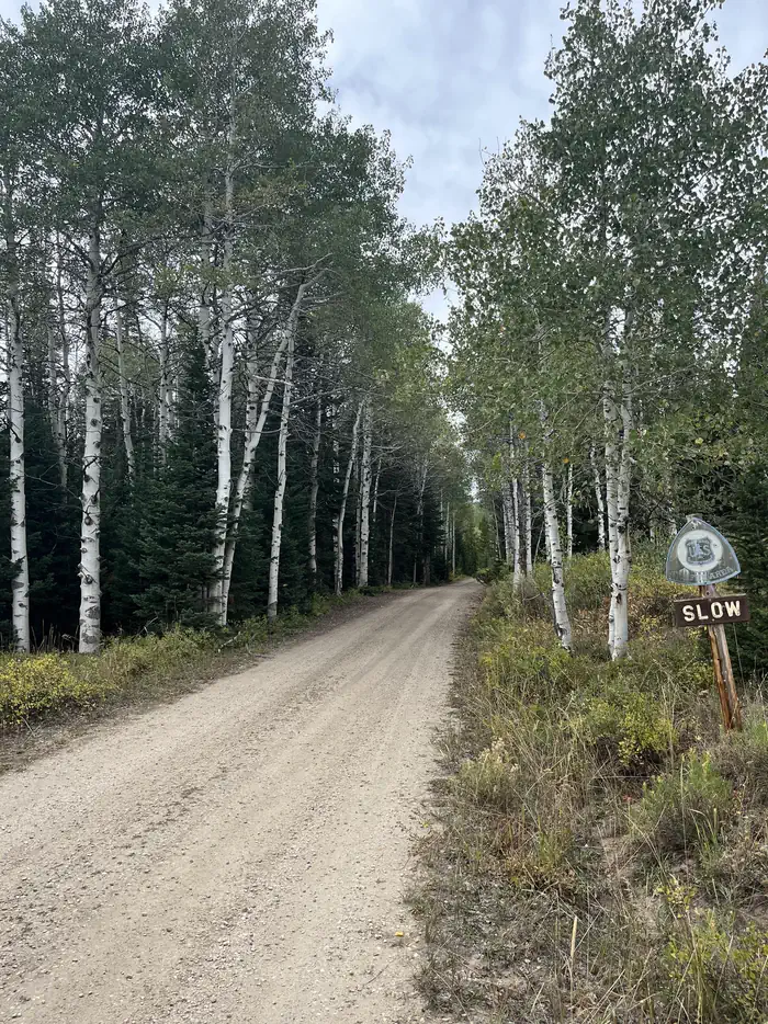 Bottle Creek Group Picnic Site — Bottle Creek Road Entrance to campground