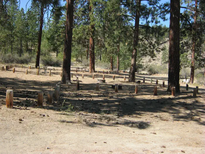 Jones Bay Campground — Jones Bay Campground sites with trees in the background.