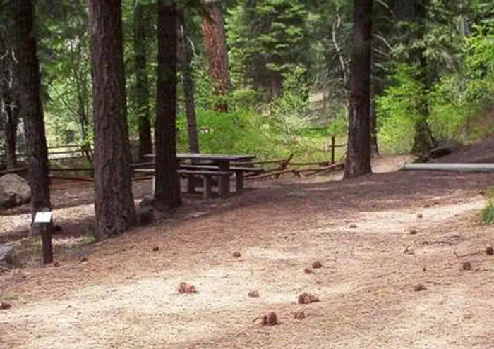 Spring Creek Campground — Campsite in Spring Creek Campground surrounded by Ponderosa Pine trees.