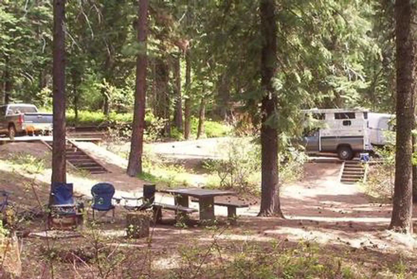 Spring Creek Campground — Campsites in Spring Creek Campground surrounded by Ponderosa Pine trees.