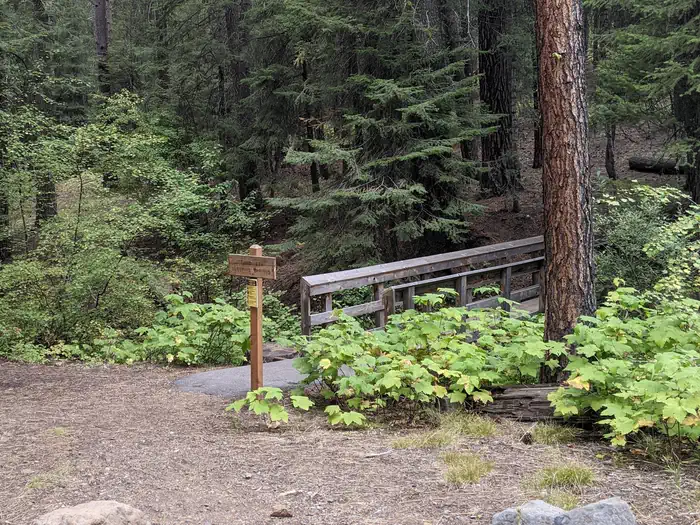 Spring Creek Campground — View of Sleeping Springs Trail beginning in the Spring Creek Campground.