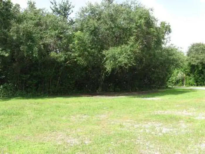 Pinecrest Group Campground — Pinecrest Group Campground View