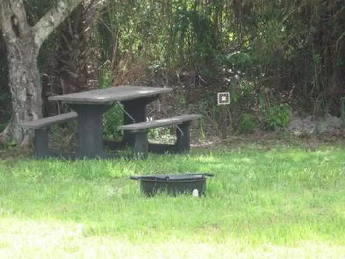 Pinecrest Group Campground — Pinecrest Campsite